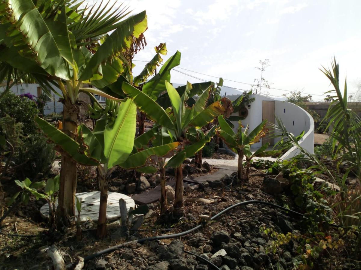Eco Camping Nueva Vida Guest House Chio  Luaran gambar