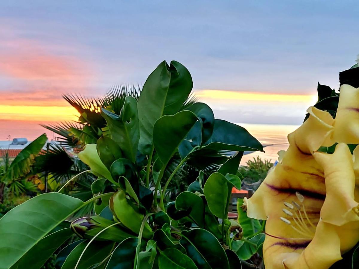Eco Camping Nueva Vida Guest House Chio  Luaran gambar